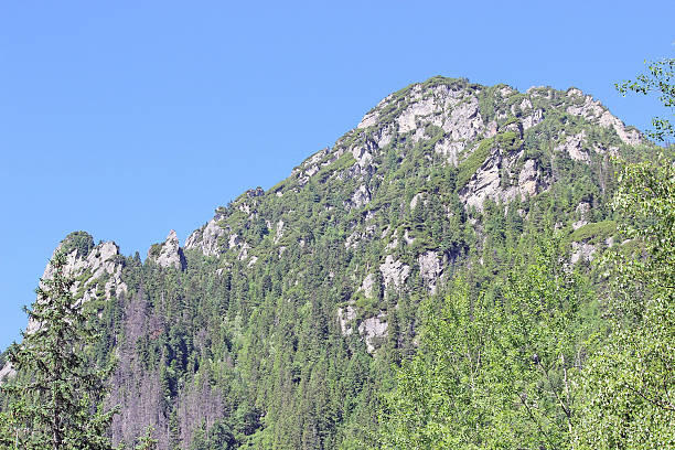 istock Landscape in the Tatra Mountains, Poland 173363717