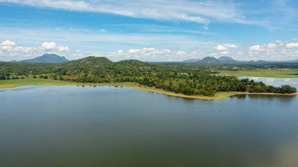 istock Sorabora lake in sri lanka view from above. 1733650681