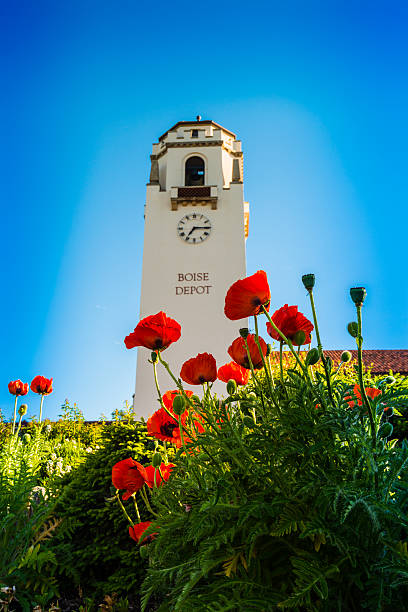 Spring flowers in foreground in Boise Depot
