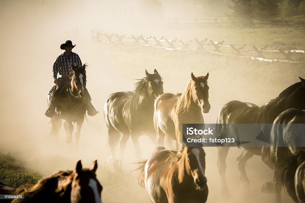 Ranch: Herde von Pferden, die sich von cowboy. - Lizenzfrei Paint Horse Stock-Foto