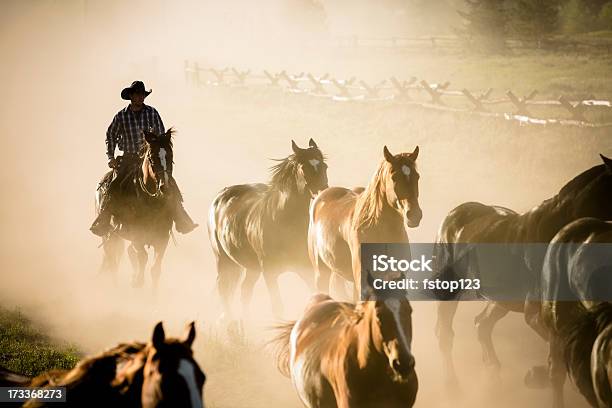 Ranch Herde Von Pferden Die Sich Von Cowboy Stockfoto und mehr Bilder von Paint Horse - Paint Horse, Altertümlich, Amerikanische Kontinente und Regionen