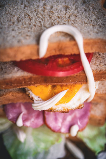 Fresh and tasty sandwich and fruits