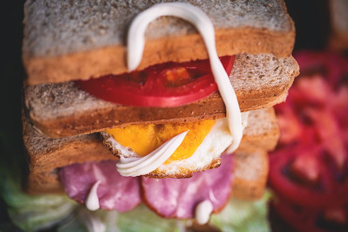 Turkey sandwich with ham, tomato, parmesan and arugula. appetizer bruschetta.