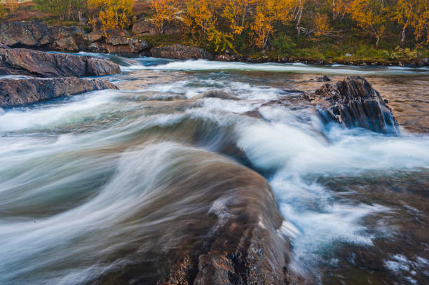 istock Scenic Norwegian Rapids: Autumn Landscape with Flowing Water and Tree 1733702389