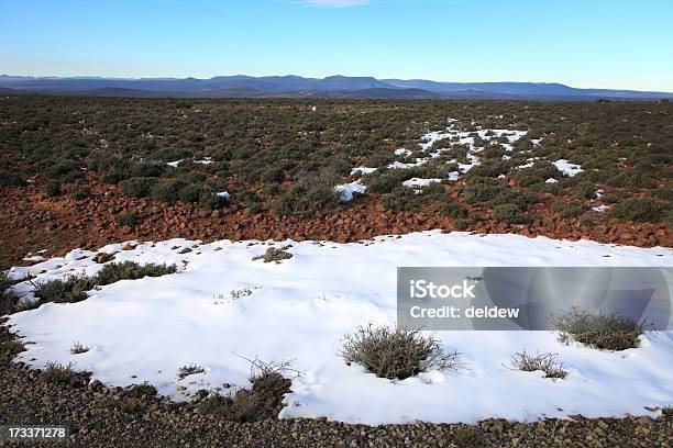 Vista De Sutherland No Norte Do Cabo África Do Sul - Fotografias de stock e mais imagens de A nevar - A nevar, Ao Ar Livre, Arbusto