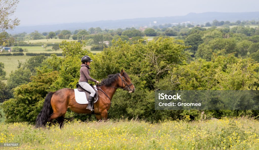 Les filles de rêve. - Photo de Monter à cheval libre de droits