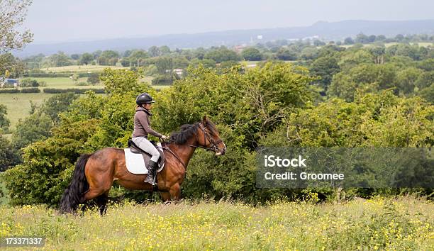Photo libre de droit de Les Filles De Rêve banque d'images et plus d'images libres de droit de Monter à cheval - Monter à cheval, Angleterre, Comté de Shrop