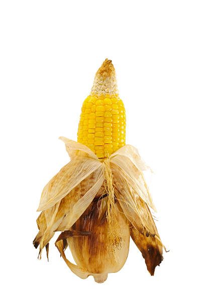 istock Toast sweet corn with the husks still on 173371388