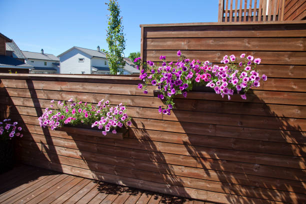 Multicolored impatiens flowers grow in a window box on a garden shed in a Cape Cod backyard.