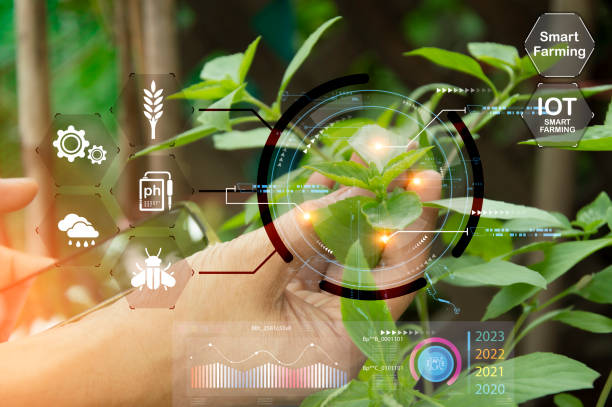 istock The concept of using AI and smart farming. 1733737474