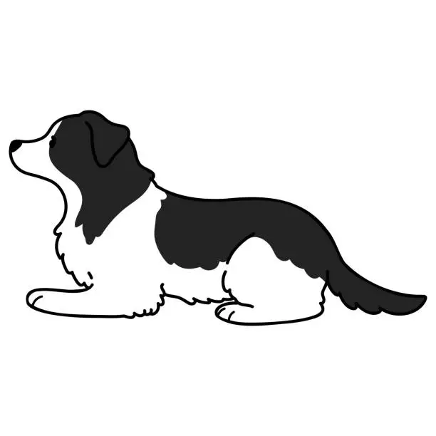 Vector illustration of Simple and adorable Border Collie lying down outlined