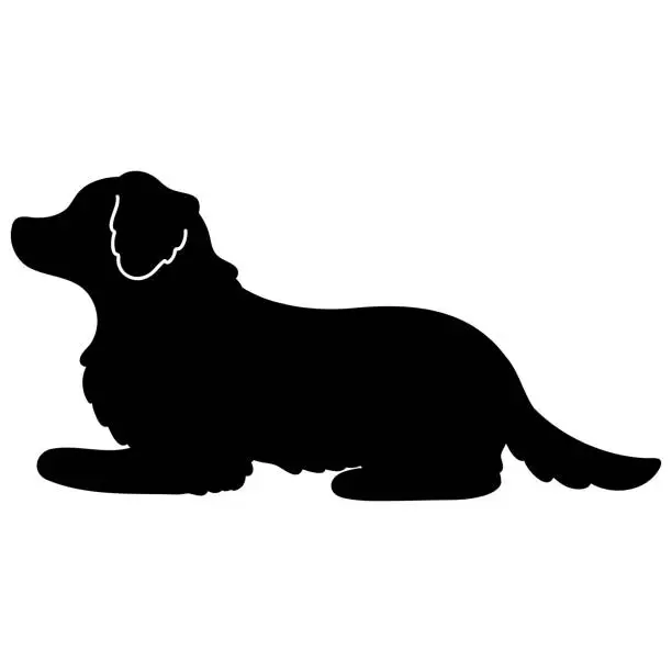 Vector illustration of Simple and adorable Border Collie lying down silhouette