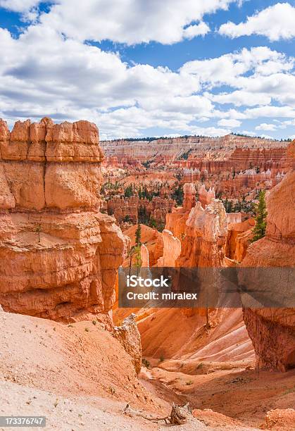 Queens Garden Im Bryce Canyon National Park Utah Usa Stockfoto und mehr Bilder von Amerikanische Kontinente und Regionen