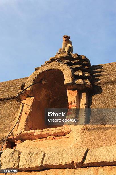 Hampi - Fotografias de stock e mais imagens de Ao Ar Livre - Ao Ar Livre, Arquitetura, Arruinado