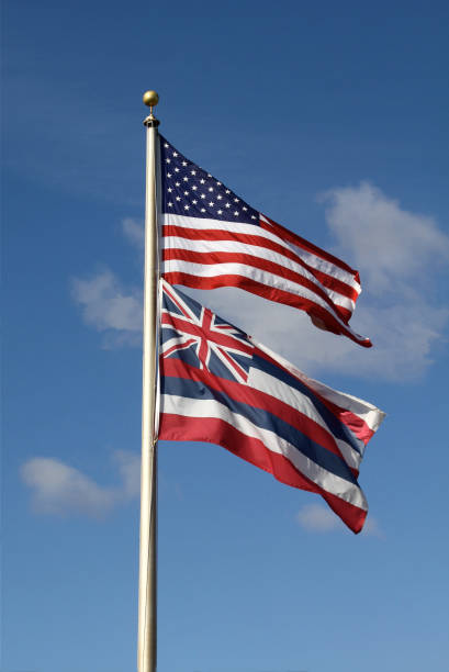 Detailed 3d rendering of the flag of Hawaii waving. 3D Rendering