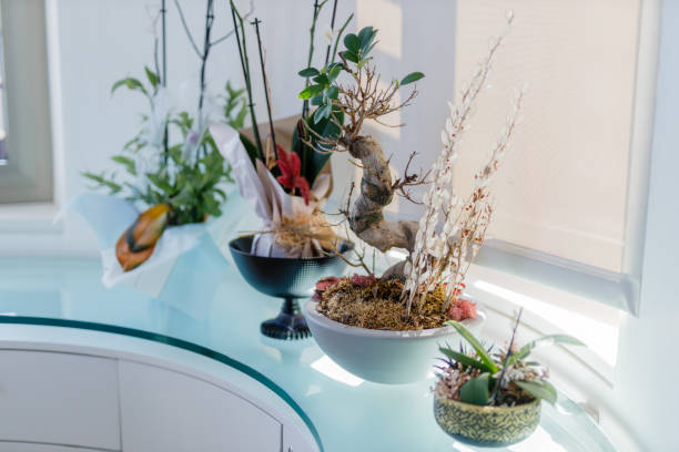 istock floral vases with dried flowers 1733861144