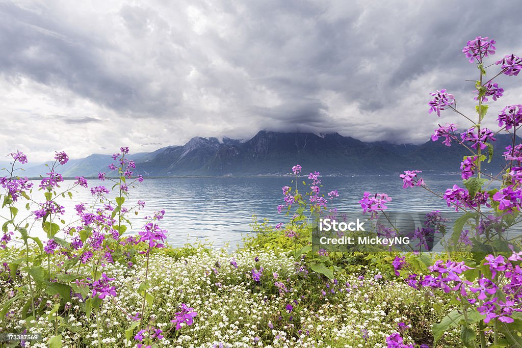 Flores contra Montanhas, Montreux. A Suíça - Royalty-free Alpes Europeus Foto de stock