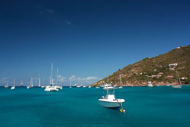 istock Near the Caribbean Island 173387936