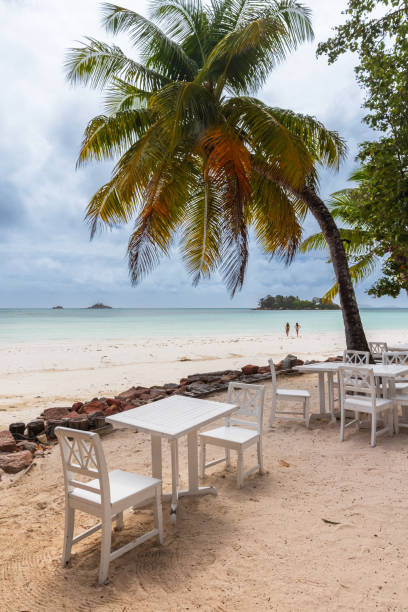 istock Seaside view with white wooden tables and chairs under coconut palm trees 1733885735