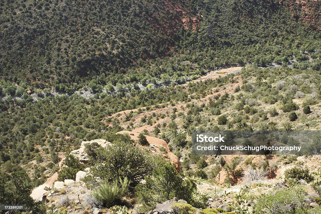 Sinagua Desert Canyon Vista do penhasco - Foto de stock de Arizona royalty-free