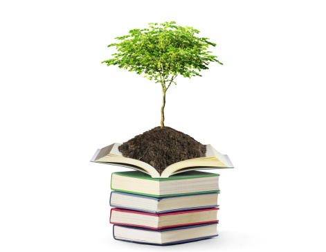 books with tree isolated on white