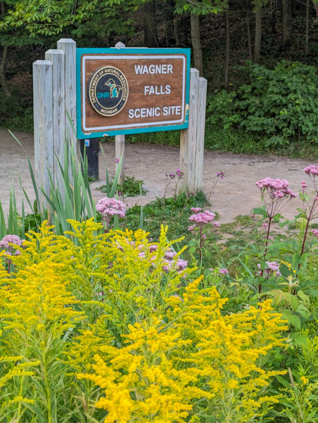 istock Sign for Wagner Falls surrounded by late summer flowers. 1733934346
