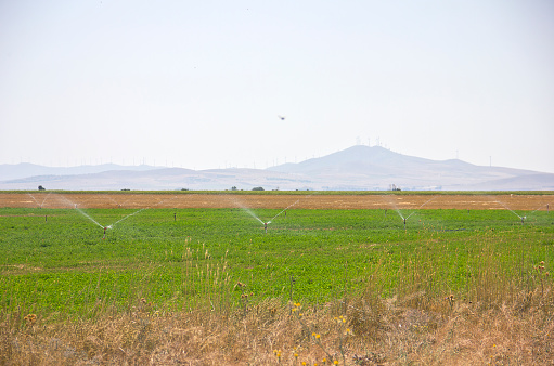 steppe with a small water tank in kırşehir turkey. They are harvesting the lentil on field in summer time. 
water pump fountain steppe farm turkey kırşehir