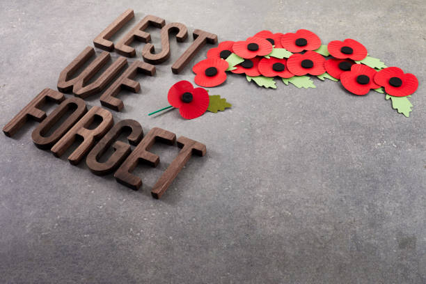 istock World War remembrance day. Red poppies on dark stone background. Lest we forget 1733976169