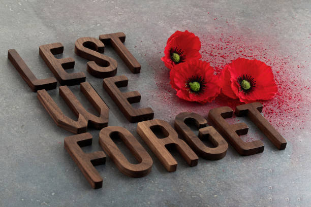 istock World War remembrance day. Red poppies on dark stone background. Lest we forget 1733982667