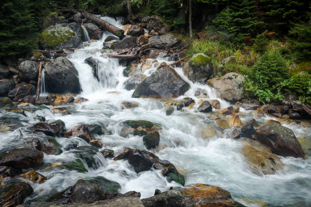 istock View on rapid mountain river, Caucasus, Dombai, Russia 1734026459