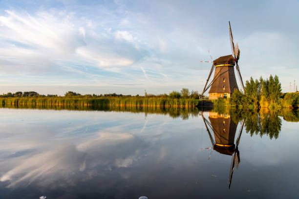 Typical Dutch windmill in the Kinderdijk area, the Netherlands with a near perfect reflection of the windmill, reed beds and clouds in the tranquil water during last hours of the day