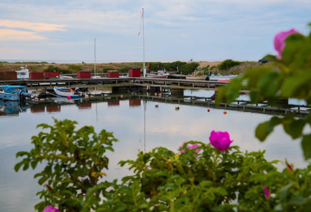 istock a small harbour with boats and tiny houses in the evening in Boderne, Bornholm, Denmark 1734097684