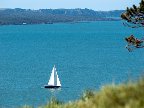 Sailboat at Rangitoto Channel in Auckland, New Zealand
