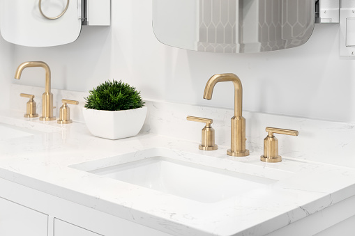 A bathroom detail with gold faucets, white vanity cabinet, and a plant sitting on a white marble countertop.