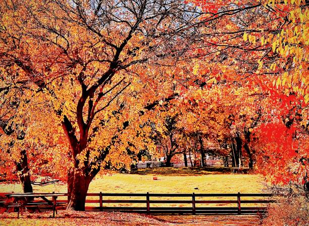 istock The Lone Picnic Table in Autumn 1734134154