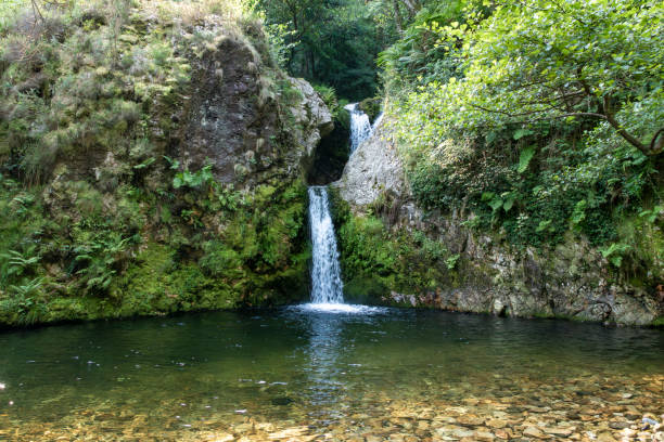 istock A Hidden Gem in the Wilderness: A Waterfall Amidst the Verdant Greenery 1734170443