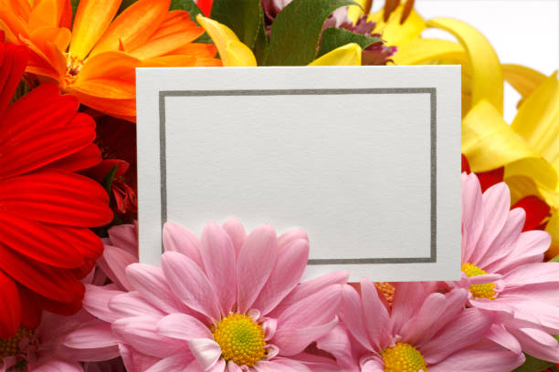 Blank mini blackboard with lilac on white background