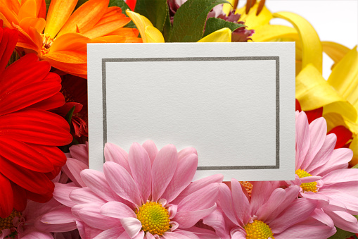 A blank card. Use for Easter or Mother's Day.