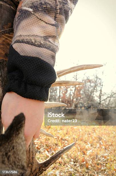 Cacciatore Trascinamento Whitetail - Fotografie stock e altre immagini di Caccia - Sport con animali - Caccia - Sport con animali, Caccia con l'arco, Cervo - Cervide