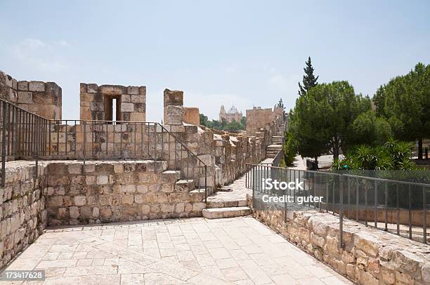 Mura Di Gerusalemme - Fotografie stock e altre immagini di A forma di blocco - A forma di blocco, Albero, Antico - Condizione