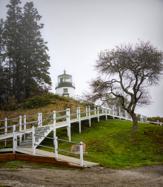 маяк оулс-хед, штат мэн - owls head lighthouse стоковые фото и изображения
