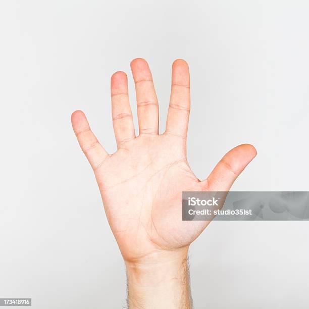 De Mano Foto de stock y más banco de imágenes de Alzar la mano - Alzar la mano, Anatomía, Brazo humano