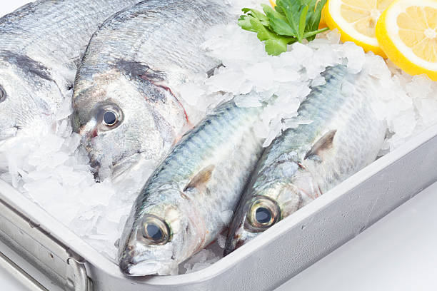 istock Fishes on steel tray with ice 173421899