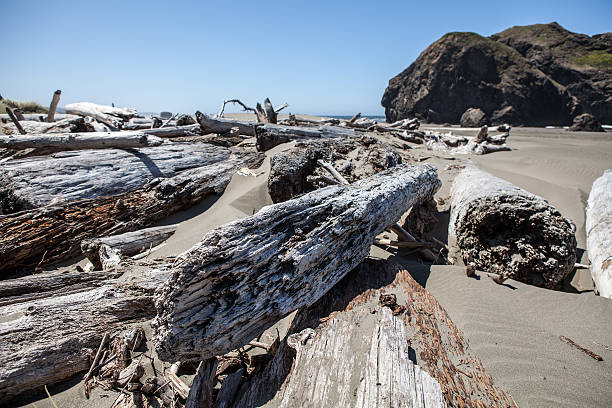 Oregon coast beach stock photo