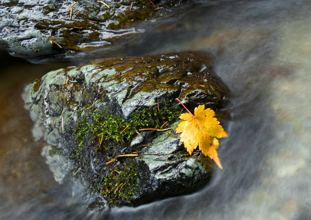 istock Beautiful waterfall in moss stones mountain landscape 1734224286