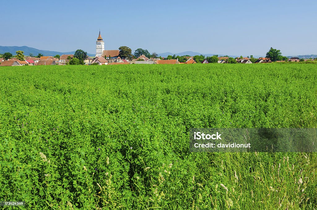 Paysage de Transylvanie, Rotbav - Photo de Agriculture libre de droits