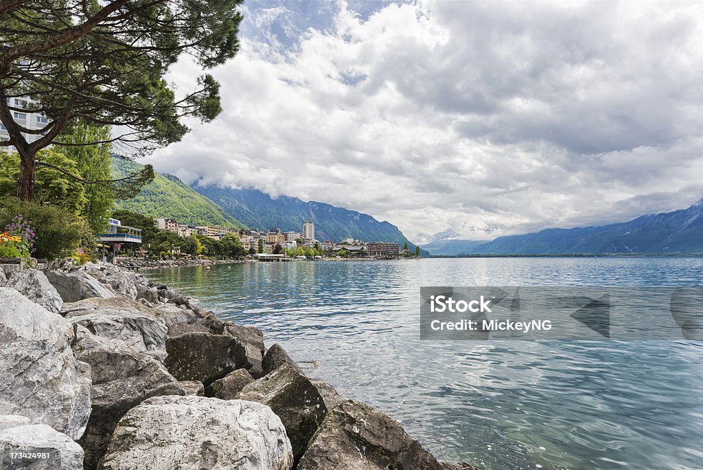 As flores e as árvores perto do lago, Montreux. Suíça - Foto de stock de Alpes europeus royalty-free
