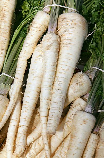 istock roots of parsley vegetable 173426594