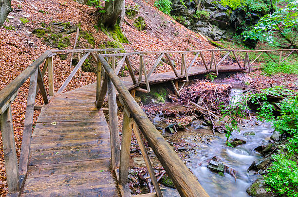 istock wood bridge path in ecological clean environment spring, Macedonia 173433849