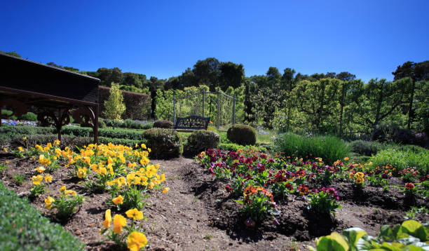 istock Spring Flowers in a Garden 173436169